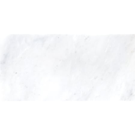 Arabescato Carrara SAMPLE Honed Marble Floor And Wall Tile